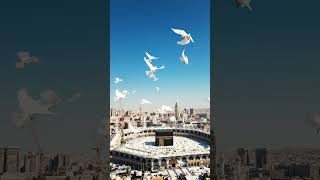 Makkah mukarmma | Kabaa ki ronaq #islamicvideo #shorts #trending