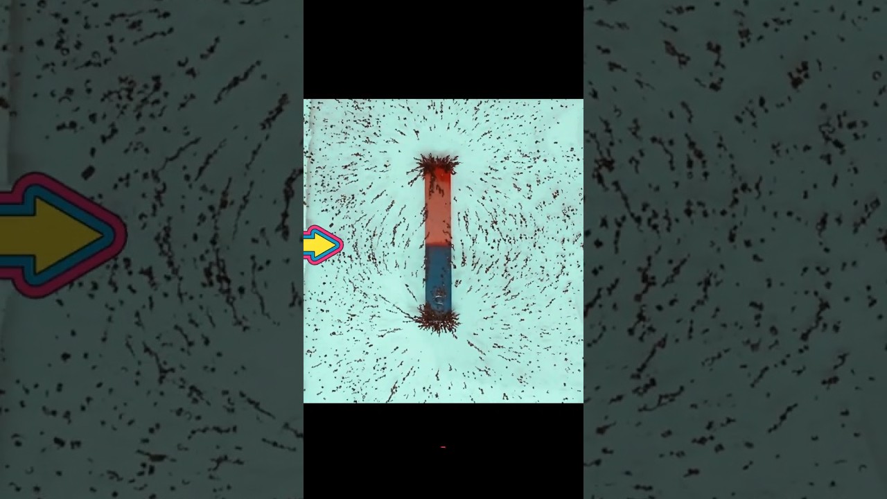 Визуализация линий магнитного поля | Железные опилки танцуют вокруг прямоугольного магнита! 