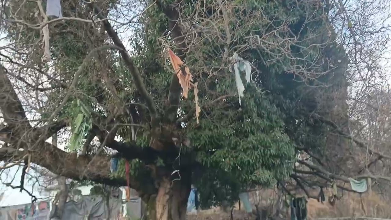 Mera gawo kukmang abbottabad full video