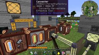 Minecraft : Direwolf20 mod,  forestry time with bees and trees