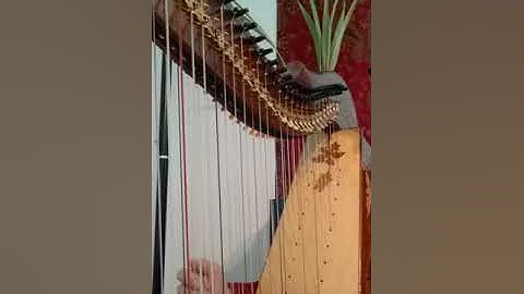 Laurie Riley - Even More Double strung exercises