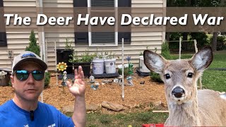 How to STOP DEER from EATING your PLANTS!
