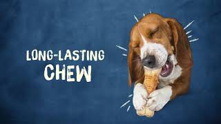Purina Busy Real Beefhide Dog Chews | PuppySimply