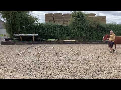 Advert reference - 344253