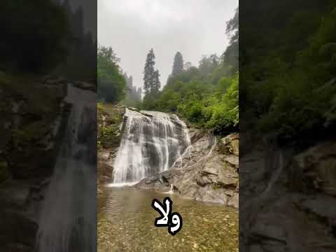 لا تفكر بماضي نصائح روائع الكلام الطيب حالات واتس معبرة أياد الشامي