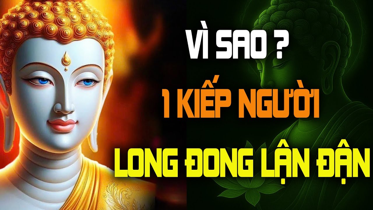 Vì Sao số Kiếp Long Đong Lận Đận? Nghe Phật Dạy Về Nhân Quả Nghiệp Báo Để Tỉnh Ngộ Hết Khổ