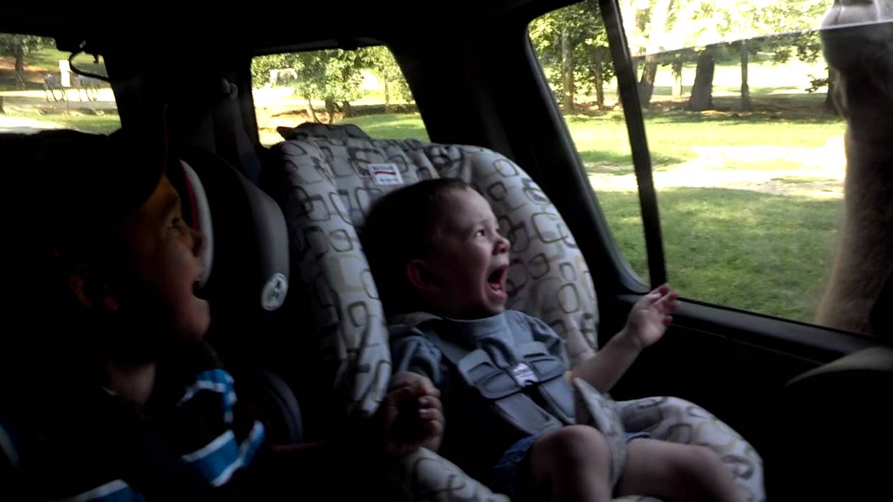 our trip to the Lazy 5 Ranch - YouTube