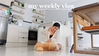 VLOG • Living Alone, Cooking my Comfort Meal & Grocery Run  | Ry Velasco