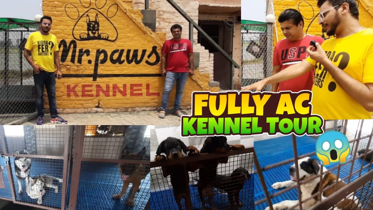 Fully AC Dog Kennel dog kennel in India dogs kennel in karnal mr