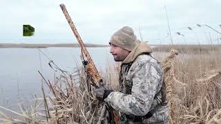 2 Ci Hissə Həyəcanlı Anlar. Gözlənilməz Qonaqlar Part Two Moments Of Tension. Unexpected