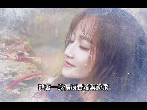 傷痕（少來了）演唱：莫叫姐姐