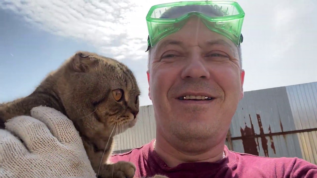 разгрузочный ДЕНЬ, ПАПА с МИТЕЙ пилят ДРОВА - YouTube