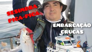 Pesca Sesimbra Embarcação Crucas Ano 2021 Fishing Sesimbra Portugal