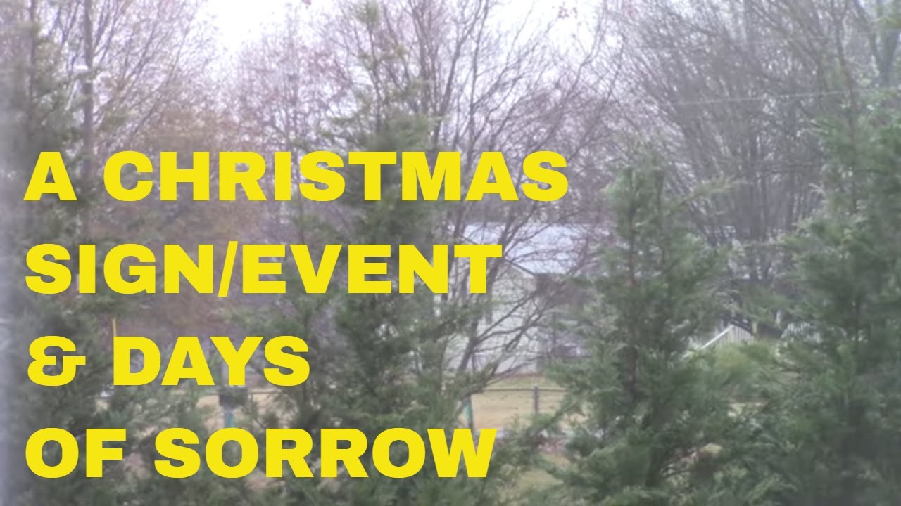 PROPHETIC WARNING DREAM: a Christmas Sign/Event & Days of Sorrow - YouTube