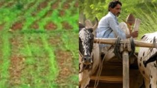 DIGITALIZATION OF AGRICULTURAL SECTOR IN NIGERIA: A SYSTEMATIC REVIEW