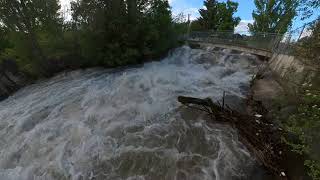 Logan River, Crockett Diversion, Town Section 05/27/2023