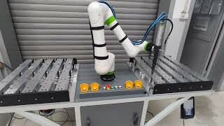 Custom Robotic Cell for Rivet Nut Insertion