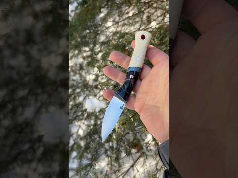 Stunning 10V Shard live on the site