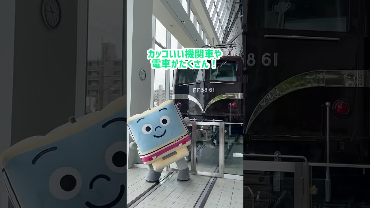 【初上陸❗】けい太くんが鉄道博物館に行ったら大満喫すぎた✨🚂💨