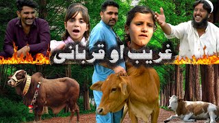 Gharib Aw Qurbani || Eid Special || New Video By Swat Kpk vines
