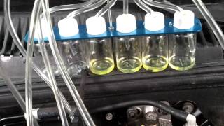 20111229_171802.mp4