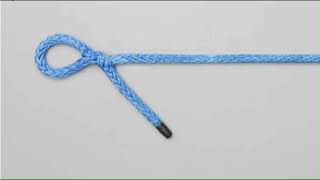 Famous Master the Brummel Eye Splice: Step-by-Step Demonstration & Knot Tying Guide Net Worth