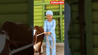 Download Lagu Kurban Sapi Datang, Opah Udah Siap Sambal! 😋🔥#Opah #UpinIpin #OpahBijak #Kurban2025  #Kurbanlucu MP3