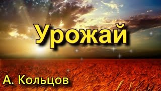 Кольцов А. В. «Урожай». Стихотворение