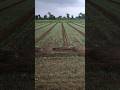 khedut putra#new #youtubeshort #video
