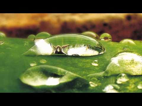 Monsoons Dance - Karunesh