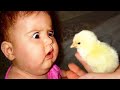 Funniest kids and babies meeting with Animals   Try not to laugh challenge