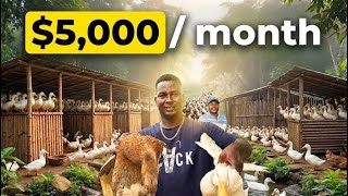 How to Build a $5,000/Month Duck Empire (Step-by-Step)