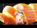 ماذا يفعل قشر البرتقال بالجنين والأم مدهش حقاً !