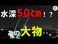 【北海道釣り】水深50cm！？晩秋の風物詩　投げ釣り　ブッコミ釣り　～シャローで釣れた大物魚を鍋で食らったら美味しすぎた～
