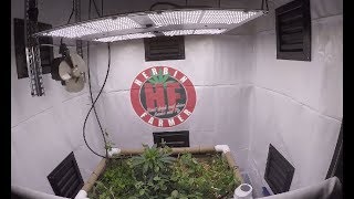 The Show Has Begun - Planet No Till 3