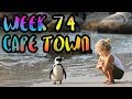 The BEST and the WORST of Cape Town. Sharks, Penguins, and Robbers!! /// WEEK 74 : Cape Town