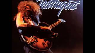 Ted Nugent   Just What The Doctor Ordered on Vinyl with Lyrics in Description