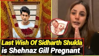 last wish of Siddharth Shukla is shehnaz gill pregnant latest news