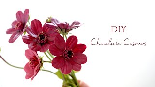 樹脂粘土で作るチョコレートコスモスの花 クレイフラワーの作り方 DIY chocolate Cosmos Clay Flower | sugar | Fondant | How to Make