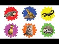 Pets: Sugar Glider, Hedgehog, Kitten, Lizard, Scorpion, Duckling