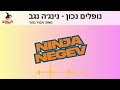 נופלים נכון נינג ה נגב מאת תמיר נהור הקליפ הרשמי נופלים נכון נינג ה נגב מאת תמיר נהור הקליפ הרשמי