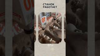 ТАКАЯ ИДЕЯ В ГАРАЖЕ ПРИНОСИТ ДЕНЬГИ ПАССИВНО! Бизнес идеи! Бизнес 2026!