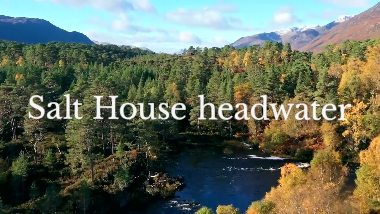 Watch Salt House - Headwater on YouTube Watch Salt House - Headwater on YouTube