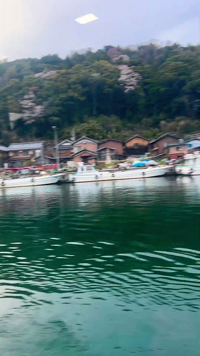 Pulau terpencil jepang, isinya kakek nenek semua dan.. #music #japan #vlog #sakura