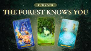 What's Coming in Your Near Future The Forest Already Knows. 🦌✨ TIMELESS Pick a Card Reading