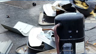 'Imminent doom': Taproot Theatre fundraising after significant vandalism
