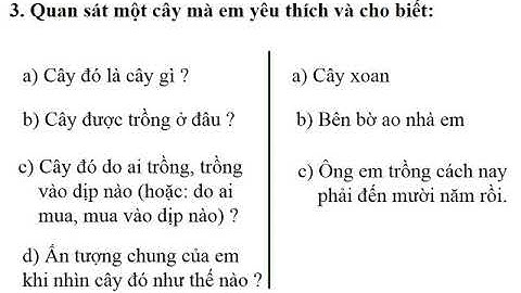 TUẦN 25 LỚP 4   TLV   LUYỆN TẬP XÂY DỰNG MỞ BÀI TRONG BÀI VĂN MIÊU TẢ CÂY CỐI