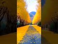 Nature Edit #youtube #youtubeshorts #youtubevideo #nature #naturebeauty #flowers#mountains #forest #
