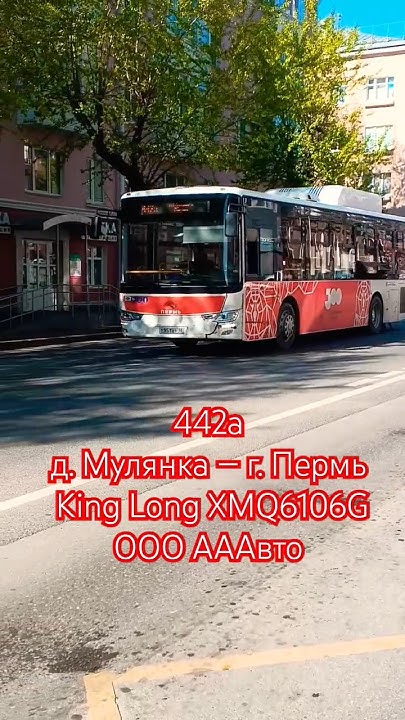 Пермь | Автобусный маршрут 442а | Остановка Стадион Динамо | #perm #bus ...