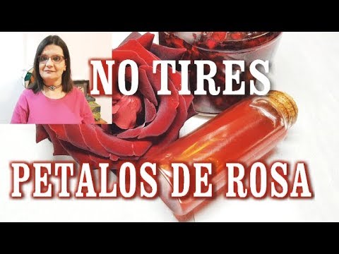 Video: Que Hacer Con Pétalos De Rosa